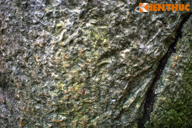 Từ nhiều thế kỷ trước, tắm sữa dê đã được coi là bí quyết gìn giữ tuổi thanh xuân của phụ nữ trong các cung đình.