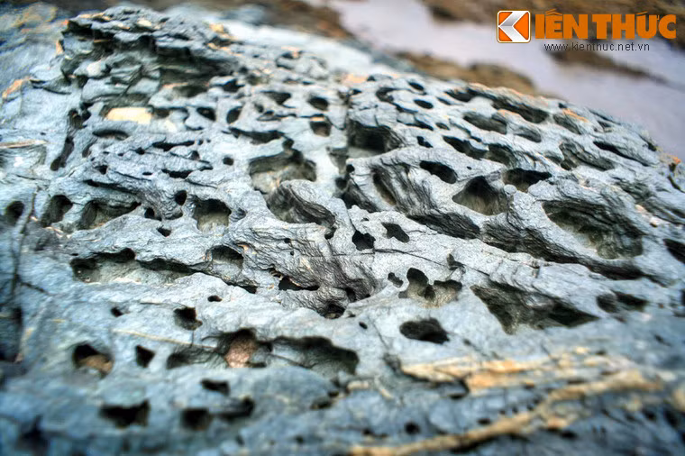 Nhiều tảng đá có bề mặt bị bào mòn bởi nước biển, trông như những tác phẩm nghệ thuật trừu tượng của thiên nhiên.