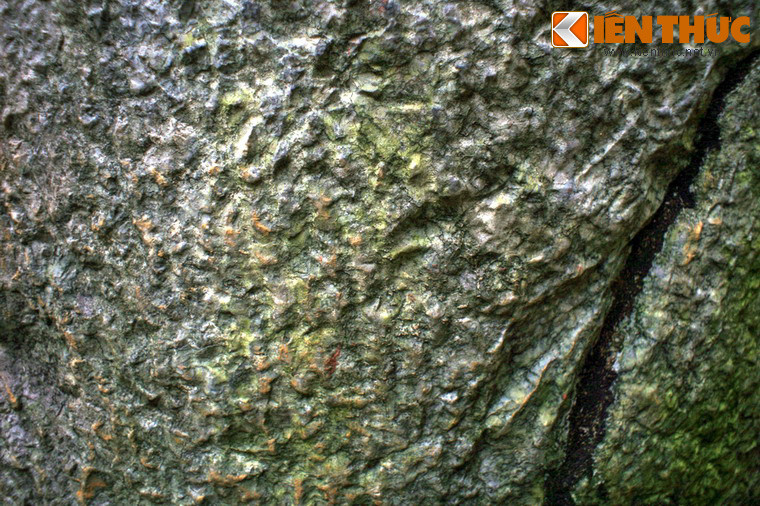 Từ nhiều thế kỷ trước, tắm sữa dê đã được coi là bí quyết gìn giữ tuổi thanh xuân của phụ nữ trong các cung đình.