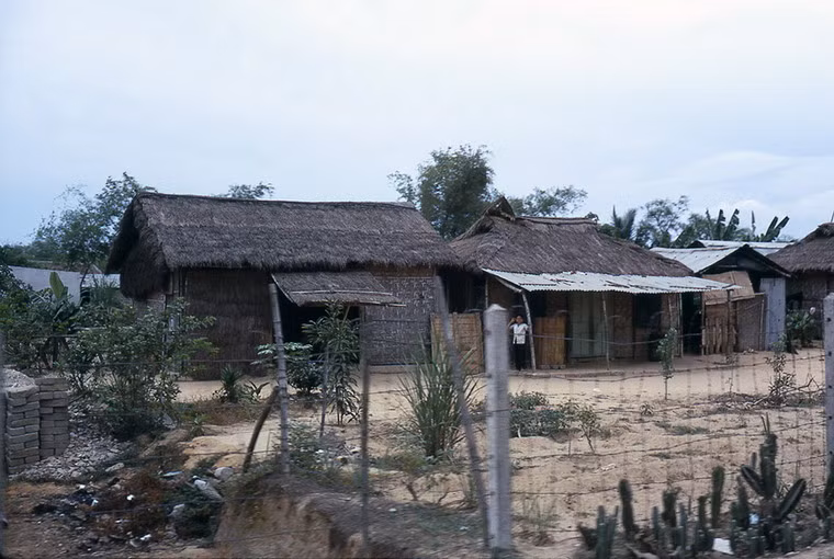 Những ngôi nhà lá ở một khu dân cư ngoại ô Đà Nẵng.