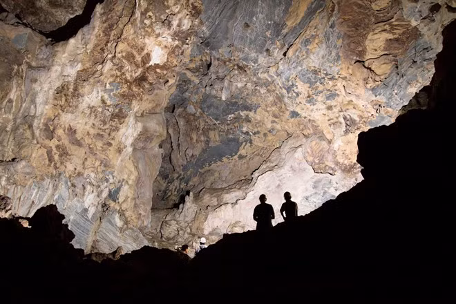 Trần hang là những hình thù không đồng nhất.