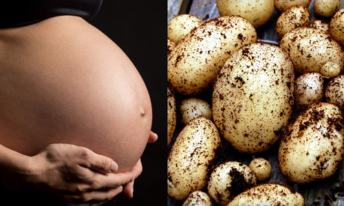 Ba bau an khoai tay de mac chung tieu duong