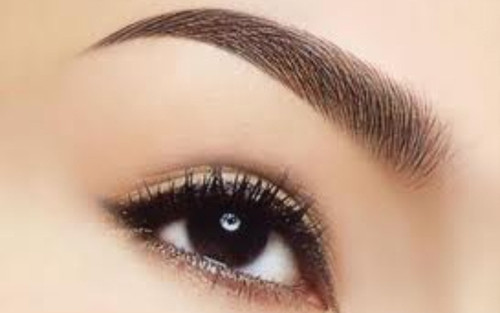 Lông mày. Mục đích tiến hóa của lông mày đến nay có nhiều tranh cãi. Nhiều chuyên gia tin rằng lông mày để giữ mồ hôi, nước mưa không tấn công mắt trong khi nhóm khác giải thích lông mày ra đời chỉ để biểu lộ cảm xúc khi giao tiếp. Nó cũng là đặc điểm để nhận dạng mỗi cá nhân.