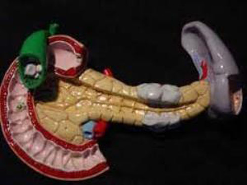 Theo chuyên gia sức khỏe, một trong những yếu tố dẫn tới ung thư tuyến tụy là lịch sử gia đình. Việc có người thân từng mắc ung thư khiến bạn có khả năng đối diện với căn bệnh cao hơn nhiều so với những người khác.