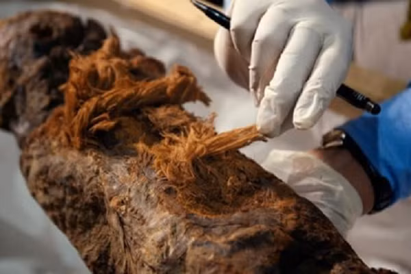 Nhóm nghiên cứu dẫn đầu bởi nhà khảo cổ học nổi tiếng Mohamed Mujahid đã phân tích xác ướp 4.000 năm tuổi của nhà quý tộc Ai Cập có tên Khuwy, vốn được khai quật hồi 2019 và phát hiện nhiều điều đáng giá.