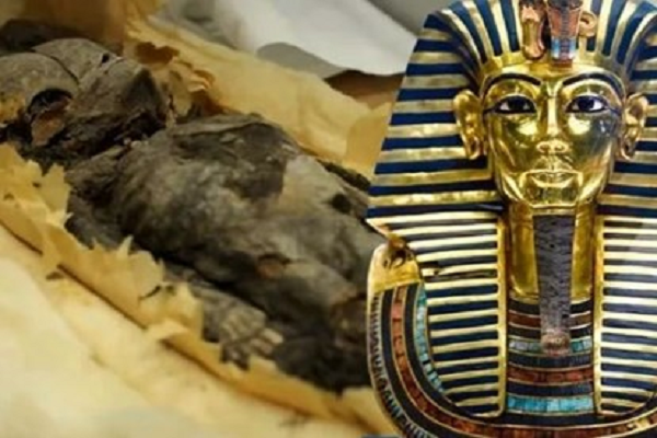 Điều này vốn không được cho là có thể đạt được cho tới 1.000 năm sau đó. “Chúng ta cần thêm thời gian để khẳng định chắc chắn khám phá này. Nếu đây thực sự là xác ướp từ thời Cổ Vương quốc Ai Cập, thì tất cả các cuốn sách về quá trình ướp xác và lịch sử của Cổ Vương quốc cần được sửa đổi", Giáo sư Salima Ikram, Trưởng khoa Ai Cập học tại Đại học Mỹ cho biết.