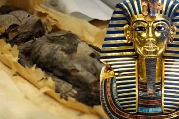 Điều này vốn không được cho là có thể đạt được cho tới 1.000 năm sau đó. “Chúng ta cần thêm thời gian để khẳng định chắc chắn khám phá này. Nếu đây thực sự là xác ướp từ thời Cổ Vương quốc Ai Cập, thì tất cả các cuốn sách về quá trình ướp xác và lịch sử của Cổ Vương quốc cần được sửa đổi", Giáo sư Salima Ikram, Trưởng khoa Ai Cập học tại Đại học Mỹ cho biết.