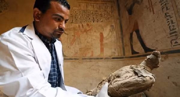 “Điều này sẽ hoàn toàn thay đổi hiểu biết của chúng tôi về tiến triển của quá trình ướp xác. Những vật liệu được sử dụng, nguồn gốc của chúng và các tuyến đường thương mại liên quan đến chúng sẽ ảnh hưởng đáng kể đến hiểu biết của chúng ta về Cổ Vương quốc Ai Cập" - bà nói thêm.