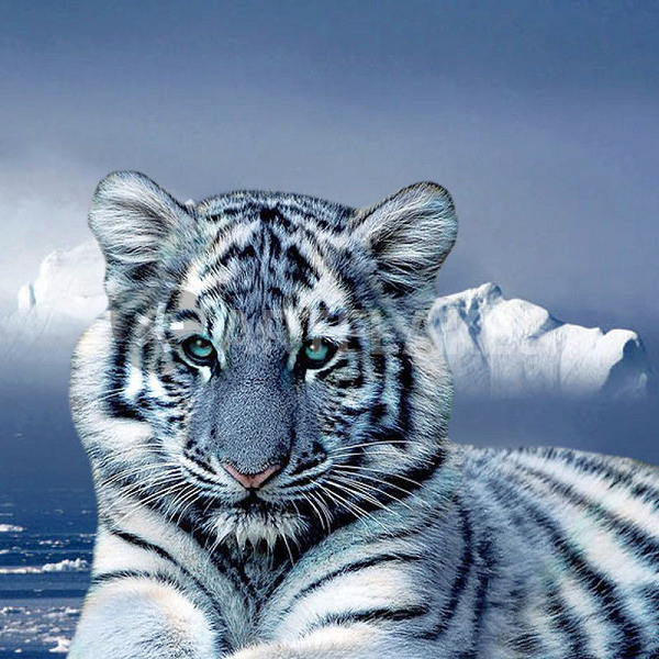 Ở Trung Quốc, con hổ xanh khổng lồ là con vật mà nhiều người kể họ đã nhìn thấy ở tỉnh Phúc Kiến. Chúng có bộ lông màu xanh dương và to hơn con hổ bình thường. Tuy nhiên, tới nay vẫn chưa có ai trong số các nhân chứng đưa ra bằng chứng về sự tồn tại của hổ xanh.