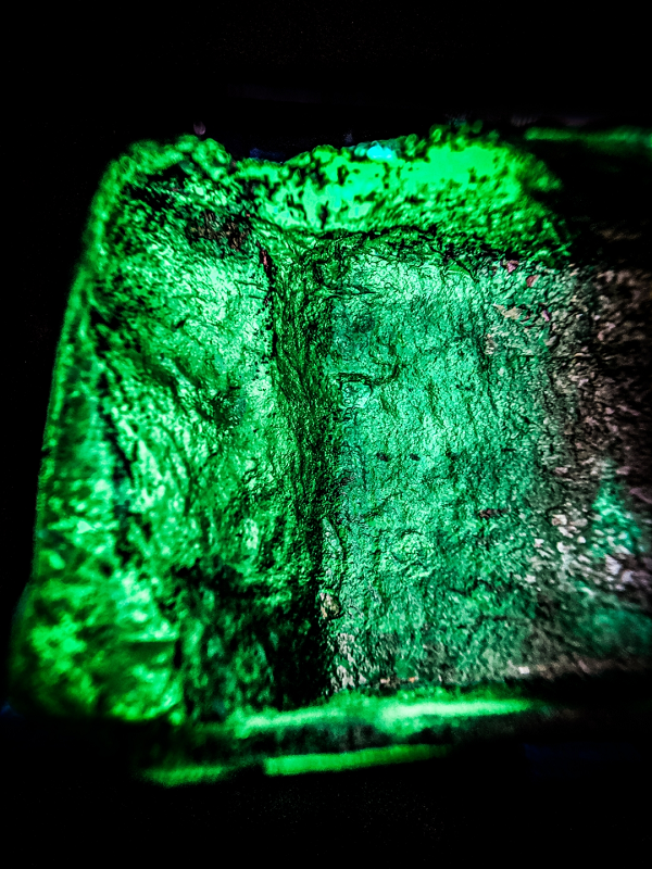 "Việc mua những viên ngọc lục bảo này không khác gì một khoản đầu tư. 10% số tiền thu được sau đấu giá đã được quyên tặng cho 2 chương trình bảo tồn sư tử địa phương", đại diện của công ty Gemfields nhấn mạnh.