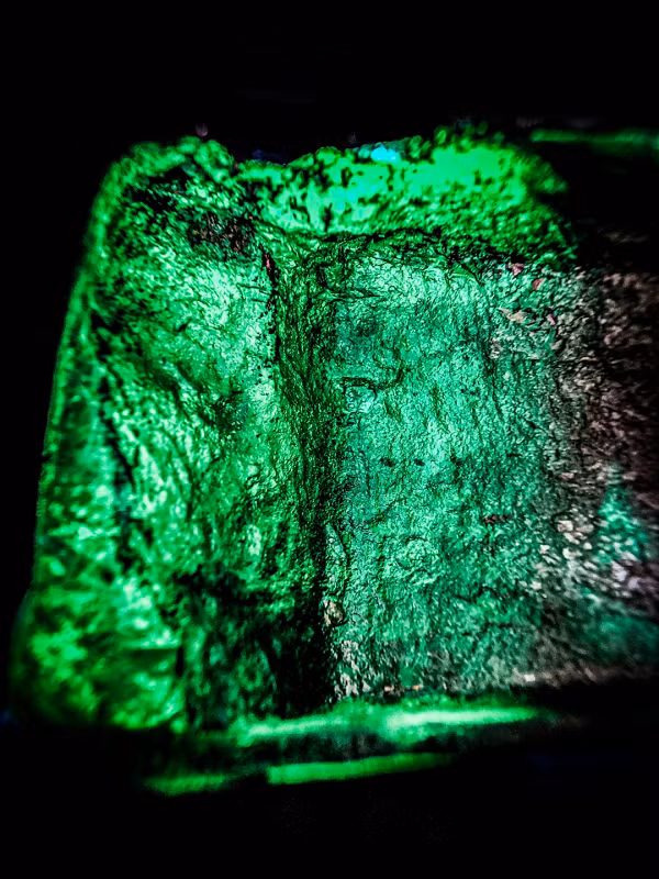 "Việc mua những viên ngọc lục bảo này không khác gì một khoản đầu tư. 10% số tiền thu được sau đấu giá đã được quyên tặng cho 2 chương trình bảo tồn sư tử địa phương", đại diện của công ty Gemfields nhấn mạnh.