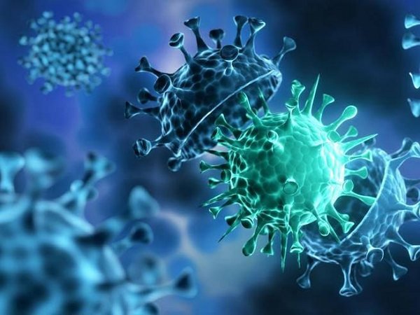 Khác với Delta, biến thể AY.4.2 mang thêm một đột biến bổ sung có tên là K417N có khả năng thay đổi protein gai và lây nhiễm cao sang các tế bào khỏe mạnh.