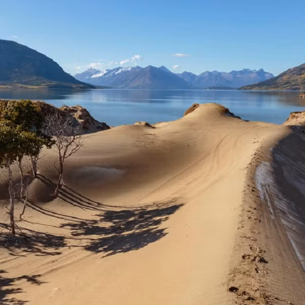 Mặc dù mưa đã chừa Carcross ra, nhưng nhờ thấm hút nước từ xung quanh nên sa mạc này vẫn khá là ẩm ướt. Nhờ đó, nó vẫn nuôi sống nhiều loại cây, trong đó có các lớn như cây vân sam, cây liễu với thân hình to lớn.