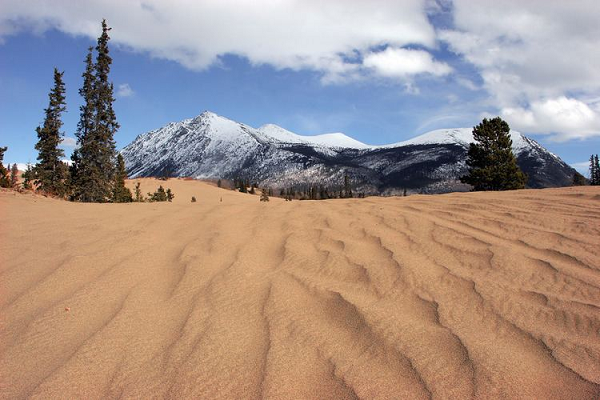 Vào mùa hè, sa mạc Carcross là chốn yêu thích cho những người trượt cát và trở thành nơi trú ẩn cho dê núi, hươu, cừu. Nhưng khi đông đến, nó lại biến thành một địa điểm trượt tuyết tuyệt đẹp. Thật hiếm có sa mạc nào mà mùa hè nắng chói chang nhưng mùa đông lại có tuyết rơi như vậy.