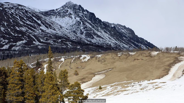 Mặc dù có nhiều khác thường nhưng sa mạc Carcross được nhiều người biết đến là sa mạc nhỏ nhất thế giới. Nhưng thực sự nó chỉ là những đụn cát còn sót lại từ một hồ băng và có môi trường thực vật ẩm ướt mà thôi. Mời các bạn xem video: Khung cảnh thiên nhiên tuyệt đẹp tại các quốc gia ít dân nhất thế giới. Nguồn: VTC.