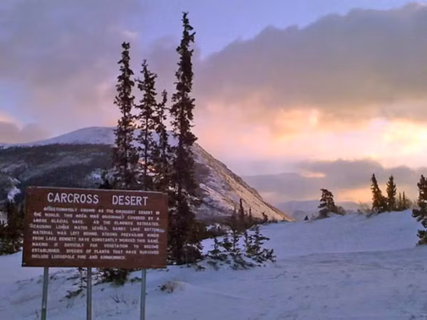 Các nhà địa chất cho rằng sự hình thành của sa mạc Carcross là kết quả của 10.000 năm lớp vỏ trái đất thay đổi. Khi băng bắt đầu tan chảy, nước rút về phía nam Yukon để lại một thung lũng lồi lõm.