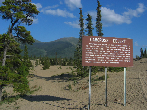 Theo thời gian, những hồ nước khổng lồ hình thành trong thung lũng này và khi băng tiếp tục tan, mực nước bị rút xuống một lần nữa. Sau đó, cát được thổi đến nhờ những cơn gió từ phía Tây Bắc, sinh ra một sa mạc Carcross.