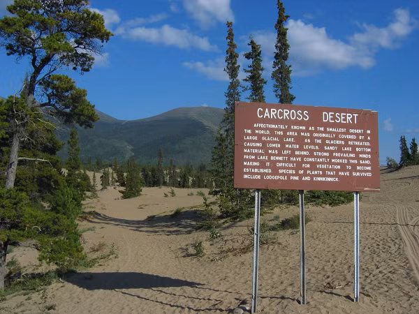 Theo thời gian, những hồ nước khổng lồ hình thành trong thung lũng này và khi băng tiếp tục tan, mực nước bị rút xuống một lần nữa. Sau đó, cát được thổi đến nhờ những cơn gió từ phía Tây Bắc, sinh ra một sa mạc Carcross.