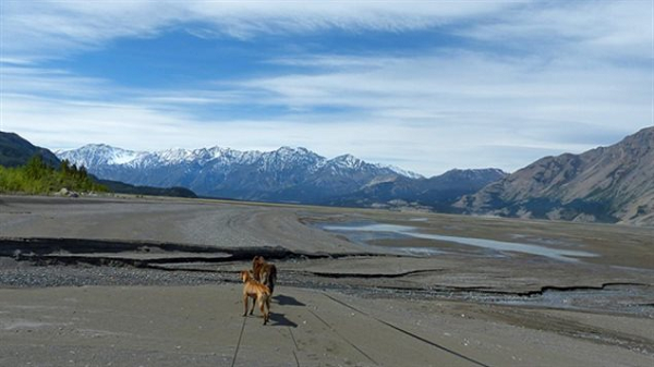 Hiện tượng này có thể ảnh hưởng đến nguồn nước sinh hoạt, tài nguyên dưới dòng sông (cá, tôm...) và rất có thể khiến con người lâm vào cuộc khủng hoảng nước sạch toàn cầu.