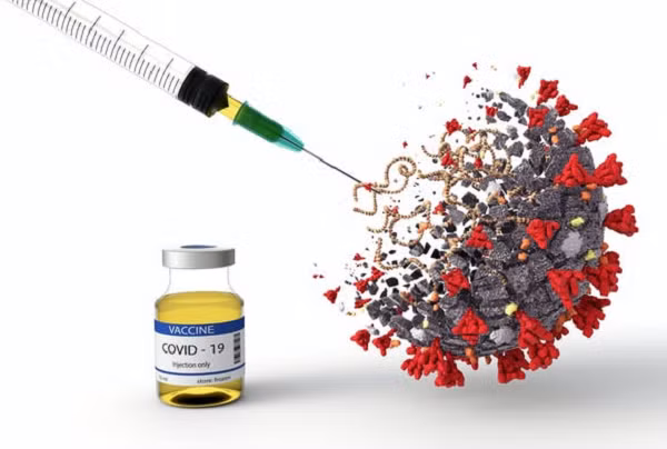 Các thử nghiệm trên chuột bạch cho thấy những cá thể được tiêm loại protein được áp dụng kỹ thuật biến đổi gen này sản sinh tỷ lệ kháng thể chống lại vùng lõi lớn hơn - thay vì vùng đầu như thường lệ.