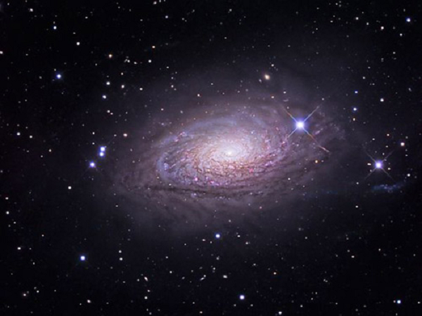 Vì vậy, nhóm nghiên cứu kết luận, rõ ràng các hạt ma quỷ phải có nguồn gốc khủng khiếp hơn, từ một sự kiện hoặc một chuỗi sự kiện bí ẩn nào đó ẩn nấp đằng sau chiếc bóng của AT2019dsg.