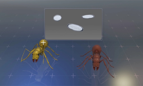 Những con sán này thao túng tuổi thọ của kiến thợ Temnothorax bằng cách tiết ra những chất hóa học có khả năng điều khiển hệ thống nội tiết, miễn dịch và cả gen của vật chủ.