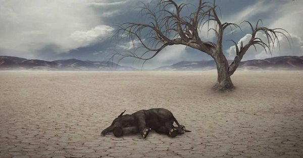 Chris Reinhard - nhà khoa học đến từ Viện Công nghệ Geogia cho biết, sự sụt giảm oxy khi đó xảy ra rất nghiêm trọng, nồng độ oxy trong khí quyển sẽ ít hơn 1 triệu lần so với hiện nay.