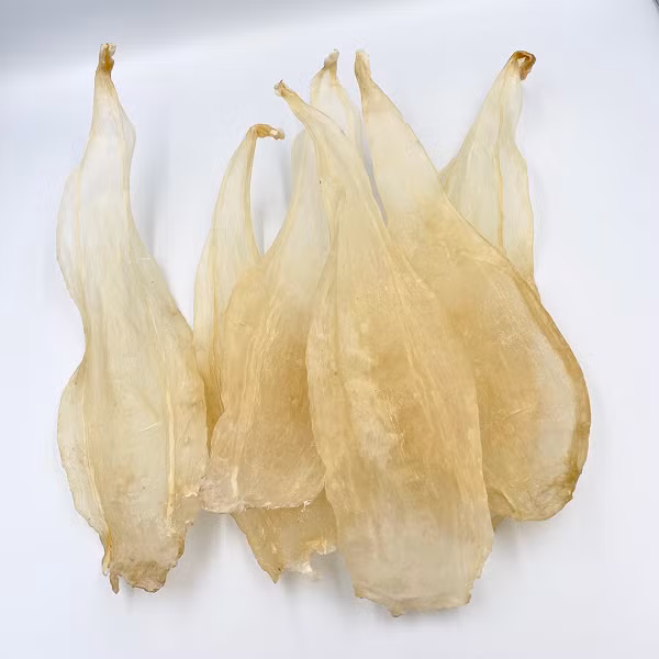 Khi nói đến cá, phần ngon nhất của nó không phải là thịt mà là bong bóng cá. Đây cũng là bộ phận đắt nhất trên con cá, được sánh ngang với tổ yến.