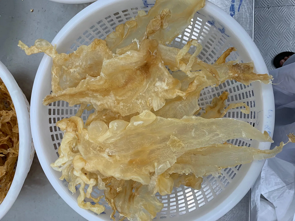 Bong bóng cá sở hữu thành phần chủ yếu là chất protein dính, nhiều đường, các nguyên tố vi lượng, các loại vitamin, kẽm, sắt…Đồng thời trong thực phẩm này cũng chứa chất bổ được người ta gọi là “nhân sâm biển”.