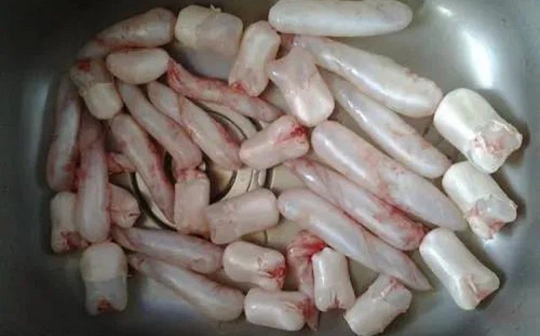 Trong con cá, có một bộ phận rất ngon, giàu dinh dưỡng nhưng nhiều người lại có thói quen không ăn nên thường vứt bỏ. Đó chính là bong bóng cá.