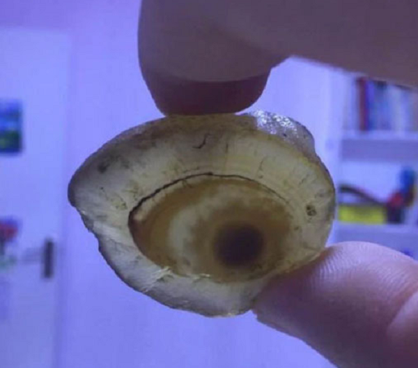 Quan sát dưới ánh đèn, người đàn ông nhận thấy viên đá có độ trong mờ, đậm nhạt rất hoàn hảo, càng nhìn càng thích. Đặc biệt là họa tiết của con mắt rất tuyệt vời, thật khiến ai cũng muốn ngắm mãi.