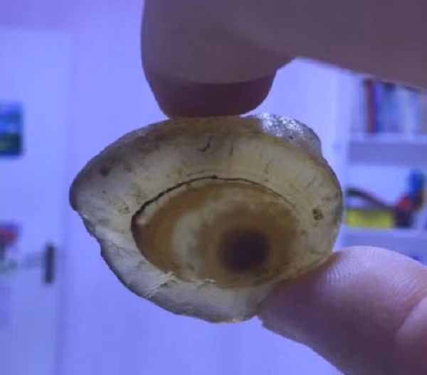 Quan sát dưới ánh đèn, người đàn ông nhận thấy viên đá có độ trong mờ, đậm nhạt rất hoàn hảo, càng nhìn càng thích. Đặc biệt là họa tiết của con mắt rất tuyệt vời, thật khiến ai cũng muốn ngắm mãi.