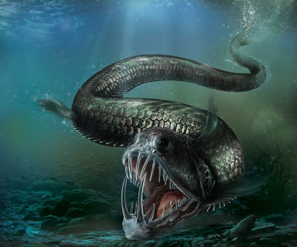 Cá rắn lục được tìm thấy ở độ sâu 4.500m dưới biển và là đại diện của một trong những loài cá trông đáng sợ nhất sống dưới nước. Loài cá này cũng được biết đến là tay săn mồi hung hãn với nhiều chiếc răng có móc, cực sắc nhọn, cùng chiếc miệng to đến nỗi không thể khép lại được.