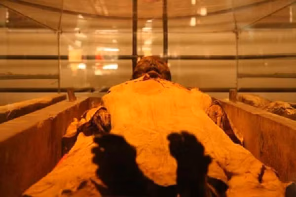 Cơ thể mảnh mai, bàn tay nhỏ nhắn của xác ướp khiến các nhà khoa học nhận định lúc sinh thời bà đã có một cuộc sống an nhàn, không phải lao động vất vả. Điều này phù hợp với địa vị quý tộc của bà.