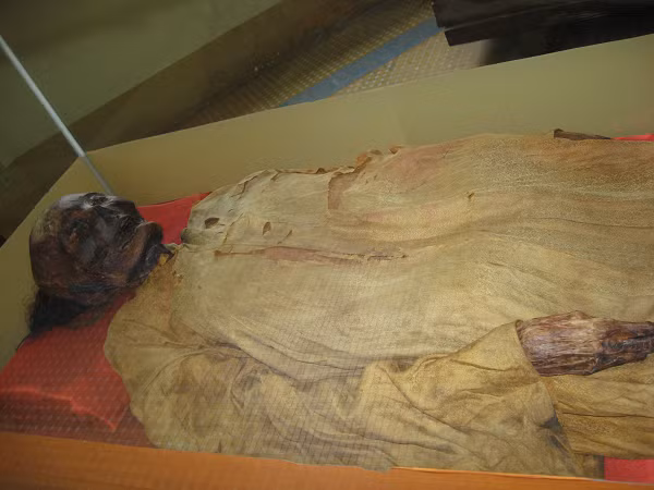 Theo nhiều nghiên cứu lịch sử, đây là xác ướp của bà Nguyễn Thị Hiệu, được coi là hoàng thân quốc thích của vua Gia Long (Nguyễn Ánh, 1762 - 1820). Việc bảo quản xác ướp bà Hiệu là nhằm kéo dài tuần lễ ma chay, điều chỉ được thực hiện ở các tầng lớp trên, dành cho hoàng thân quốc thích.