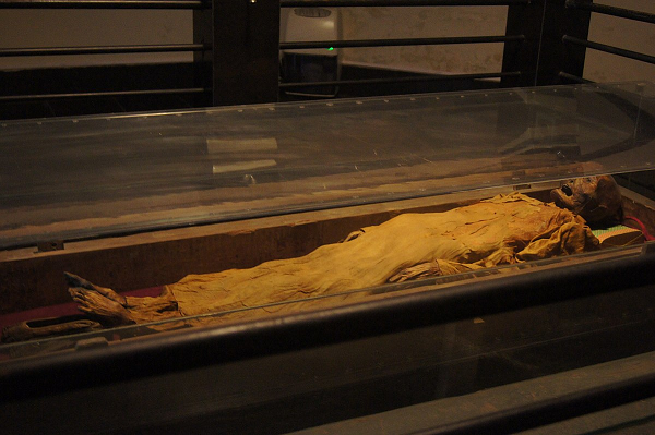 Xác ướp được quấn hàng chục lớp vải may theo kiểu vừa áo vừa quần bằng lụa và gấm, áo rộng cài khuy chéo. Khuy được làm bằng mã não và kim loại mạ vàng.