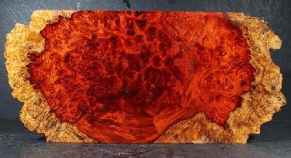 Khúc gỗ được tìm thấy trong lúc tháo dỡ tầng hầm. Nó có hình dáng tựa như một khối đá khổng lồ có màu đỏ thẫm nhưng bề mặt chi chít những lỗ sâu.