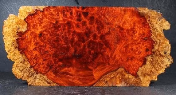 Khúc gỗ được tìm thấy trong lúc tháo dỡ tầng hầm. Nó có hình dáng tựa như một khối đá khổng lồ có màu đỏ thẫm nhưng bề mặt chi chít những lỗ sâu.