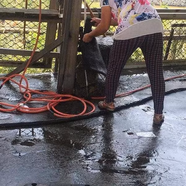 Một chuyên gia động, thực vật học tình cờ tới một tiệm sửa xe ở Chiết Giang và ngửi thấy mùi thơm rất đặc trưng của gỗ nhai bách quý hiếm và bắt đầu tìm kiếm.