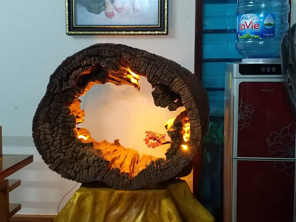 Đặc biệt, phần rễ của cây nhai bách, còn được gọi là gỗ lũa, thường có hình dáng rất độc đáo bởi chúng phải bám vào đá để sinh trưởng trong điều kiện vô cùng khắc nghiệt, được dùng rất nhiều để tạo nên các tác phẩm điêu khắc nghệ thuật tinh xảo.