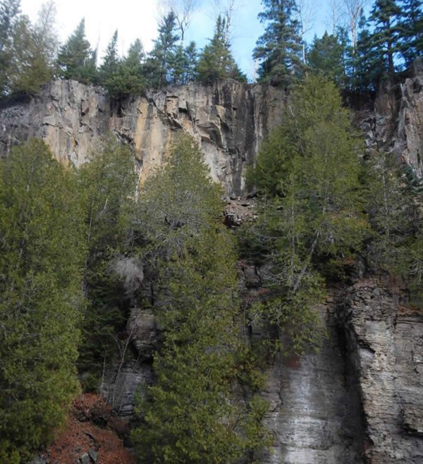 Khi đó, chủ tiệm thấy khối gỗ này chẳng có gì đặc biệt nên lấy nó ra làm đôn ngồi, có lúc còn lấy nó làm chỗ phơi giẻ lau. Vị chuyên gia lập tức cho biết, khúc gỗ này ít cũng có giá 1 triệu NDT (khoảng 3,5 tỷ VND).