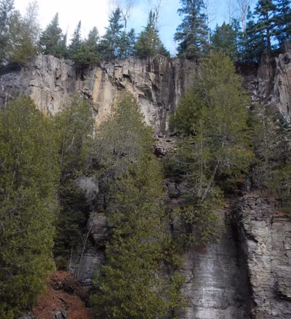 Khi đó, chủ tiệm thấy khối gỗ này chẳng có gì đặc biệt nên lấy nó ra làm đôn ngồi, có lúc còn lấy nó làm chỗ phơi giẻ lau. Vị chuyên gia lập tức cho biết, khúc gỗ này ít cũng có giá 1 triệu NDT (khoảng 3,5 tỷ VND).