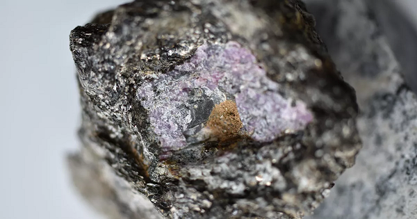 Một viên hồng ngọc đã được tìm thấy ở mỏ hồng ngọc nổi tiếng ở đảo băng giá Greenland. Ban đầu nó không được các thợ kim hoàn đánh giá cao do bị lẫn tạp chất.