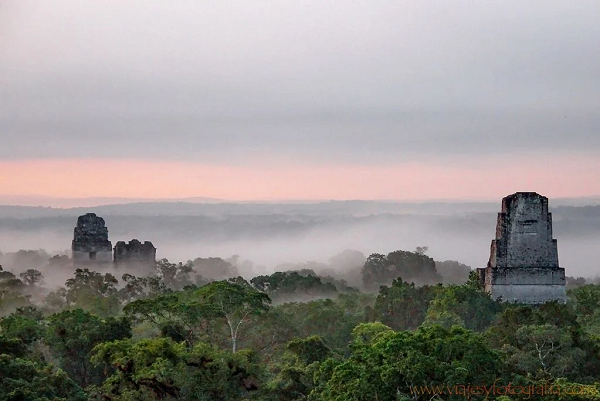 Trong thời kỳ phát triển cực thinh, Tikal có tới 4.000 tòa nhà và 90.000 người dân sinh sống, cùng nhiều đền đài, cung điện tráng lệ. Cùng với sự suy tàn của đế chế Maya, thành phố cổ Tikal bị bỏ hoang vào khoảng năm 900.