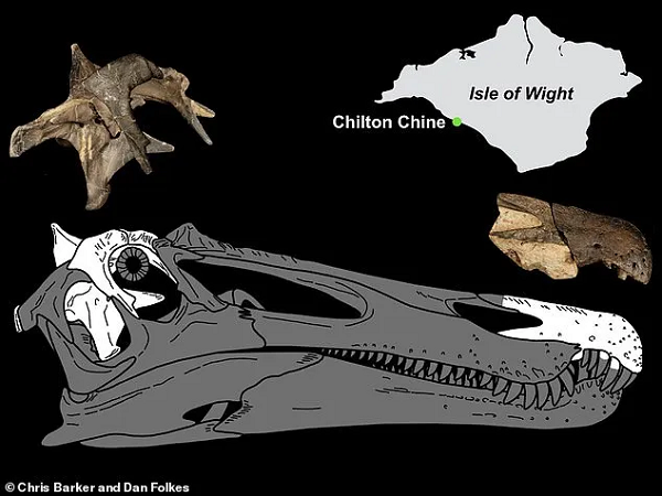 Cả hai đều là hiện thân của các loài khủng long Spinosaurid ban đầu, họ hàng của loài Spinosaurus lưỡng cư mặt cá sấu kỳ lạ.