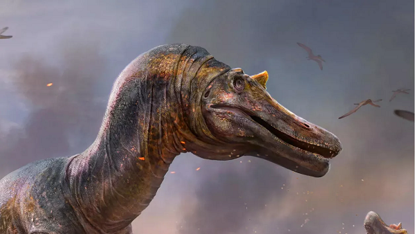 Trước đó, một loài Spinosaurid từng được tìm thấy ở Anh là loài săn mồi có móng vuốt lớn Baryonyx, phát hiện ở Surrey vào năm 1983. Tuy nhiên, theo các nhà khoa học 2 hộp sọ loài mới là khác nhau và khác với Baryonyx.