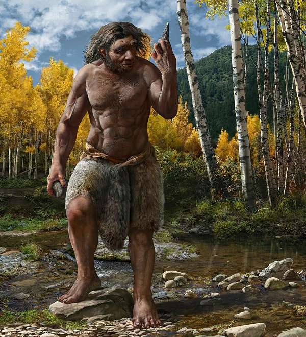 Do đó bộ não cũng cần ít năng lượng hơn để hoạt động và tiến hóa để thu hẹp kích thước. Điều này sẽ giúp cơ thể tiết kiệm khá nhiều năng lượng bởi não là cơ quan tiêu hao năng lượng nhiều nhất trên cơ thể người.