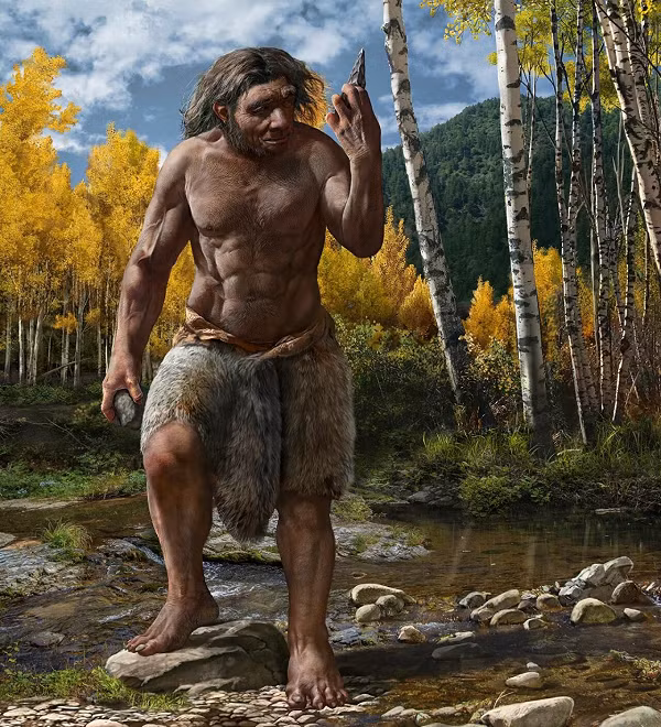 Do đó bộ não cũng cần ít năng lượng hơn để hoạt động và tiến hóa để thu hẹp kích thước. Điều này sẽ giúp cơ thể tiết kiệm khá nhiều năng lượng bởi não là cơ quan tiêu hao năng lượng nhiều nhất trên cơ thể người.