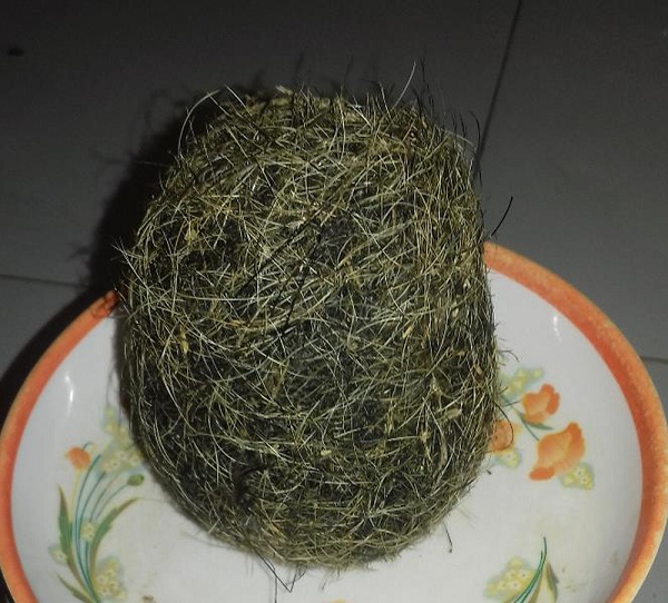 Đặc tính của Cát lợn là vị ngọt, tính mát, mùi thảo mộc có tác dụng đối với tâm và can được cho là có giá trị kinh tế, giá trị y học, chữa bệnh. Cát lợn thường có trọng lượng từ khoảng 0,5 đến 2,8kg với những đặc điểm chung như hình bầu dục, có lông, mùi thảo mộc dễ chịu, không bốc mùi hôi thối dù được lấy trong nội tạng của lợn.