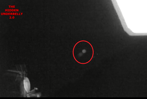 Sau khi được chia sẻ trên các diễn đàn về UFO, đoạn clip đã nhanh chóng được đón nhận với những lời ủng hộ về "thuyết âm mưu" liên quan tới sự tồn tại của người ngoài hành tinh.